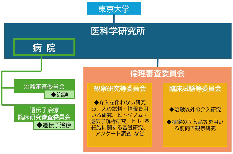 審査体制